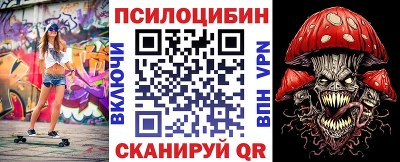 где купить наркоту  Аргун  kraken ONION  Псилоцибиновые грибы прущие грибы 